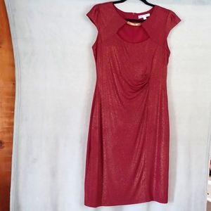 Triuhuology Women's Dress Size 10 Shimmery Red Dress With Ruching NWOT.  